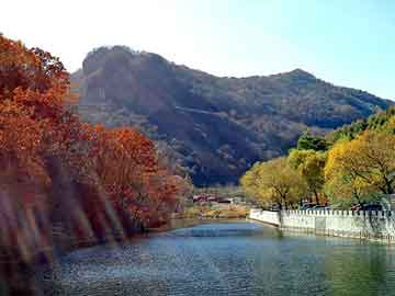 新澳天天开好彩资料大全，富川瑶族自治seo搜索引擎优化